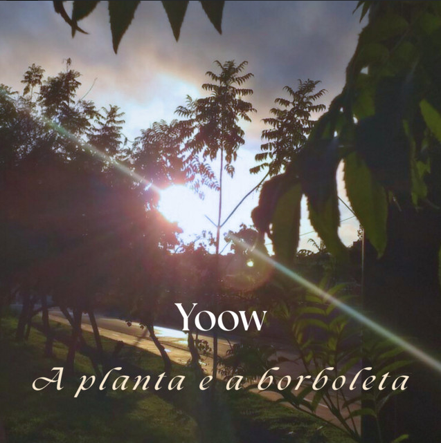 A Planta e a Borboleta